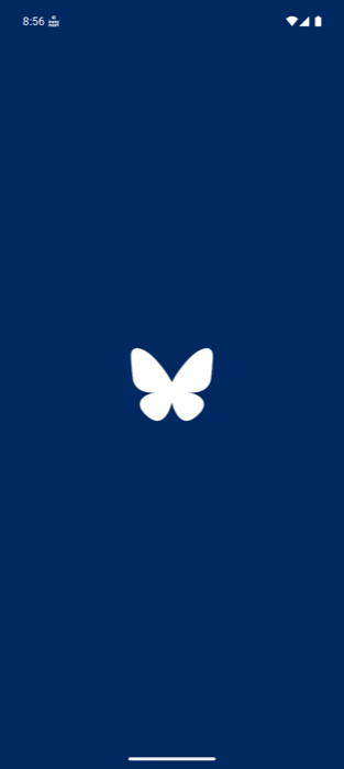 A blue screen with the app's logo in the center
