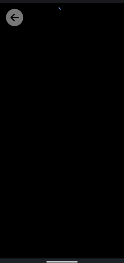 A black screen with a back control and a small spinner